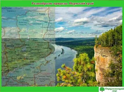 Тема пермский край