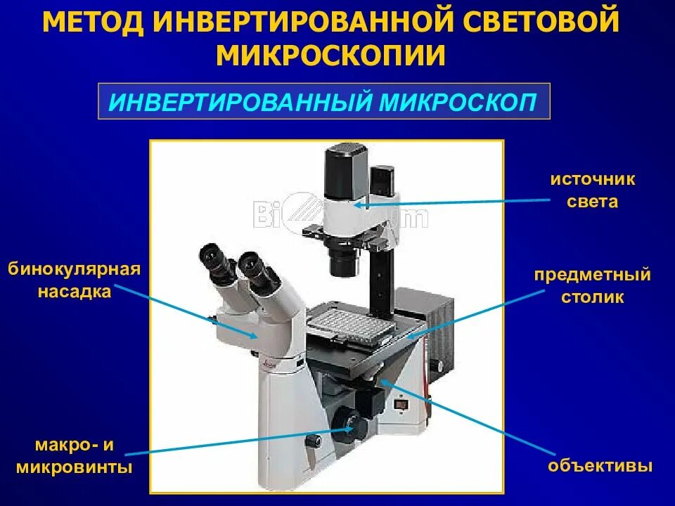 Микроскопией называют метод микроскопии