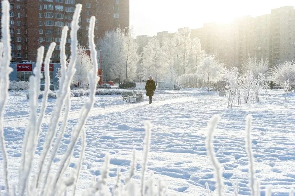 Санкт-Петербург зимой. Потепление зимой. Резкое потепление зимой. Резкое потепление в СПБ.