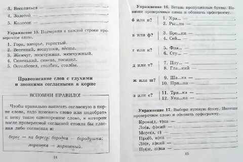 Тренировочные упражнения по русскому языку 4