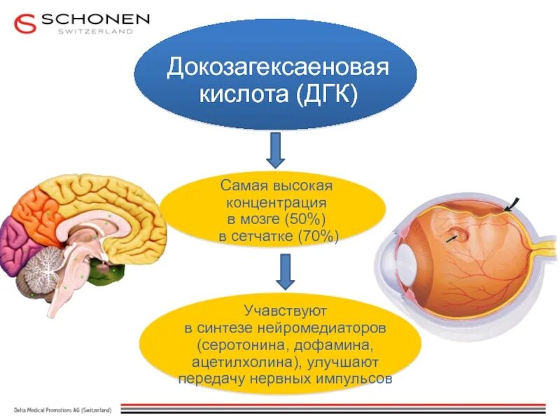 Докозагексаеновой кислоты дгк. Докозагексаеновой кислоты дгк