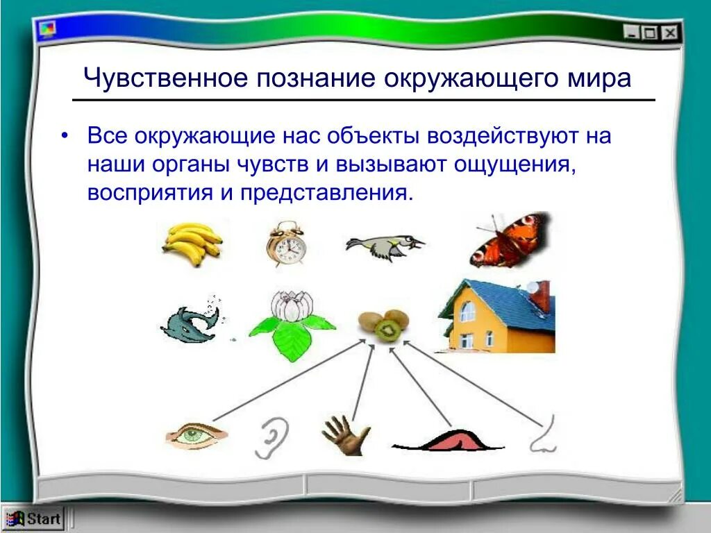 Что служит ключом к познанию окружающего