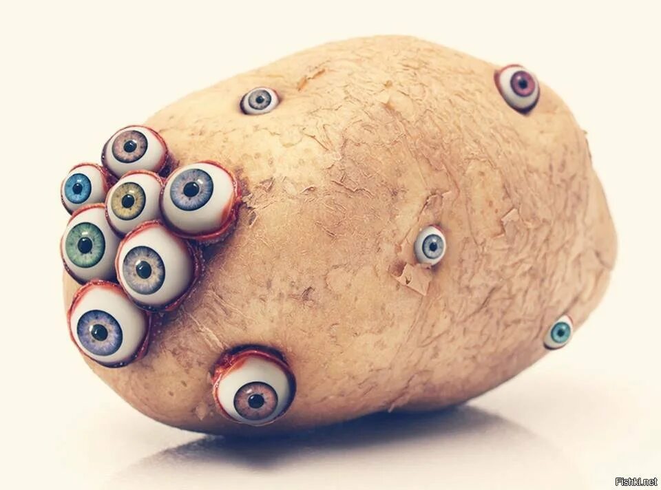 Картошка с глазами. Картошка с глазками. Картофельные глазки. Картоха с глазами.