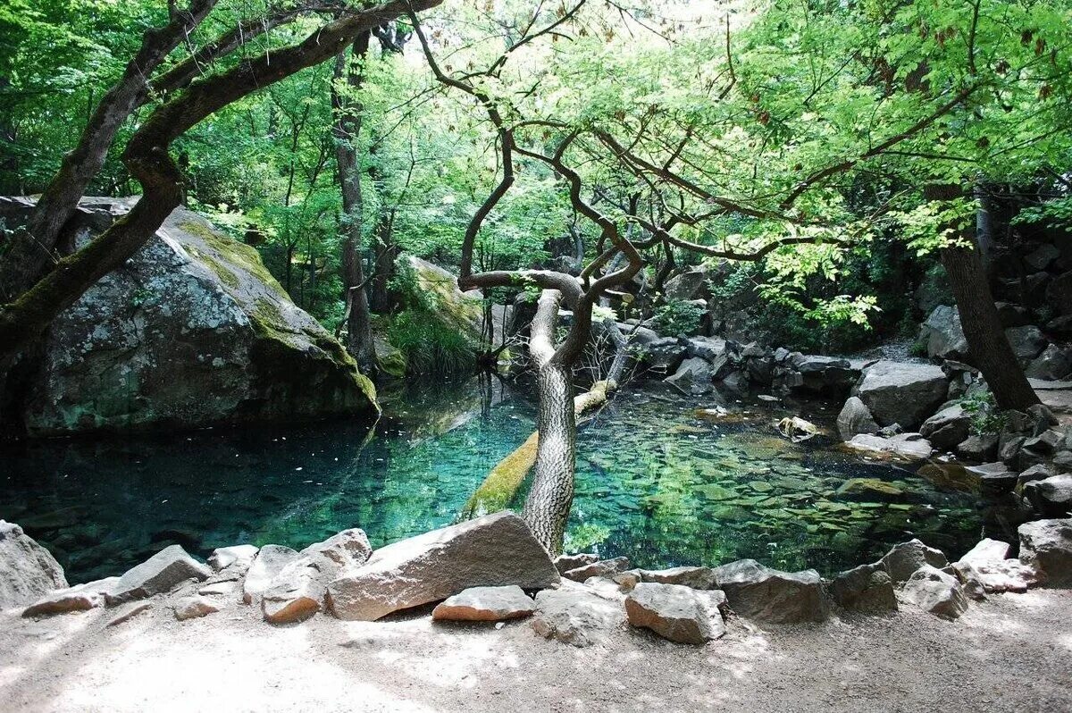 Воронцовский парк Крым. Воронцовский дворец парк. Алупкинский парк и Воронцовский дворец. Крым Воронцовский парк пруды.