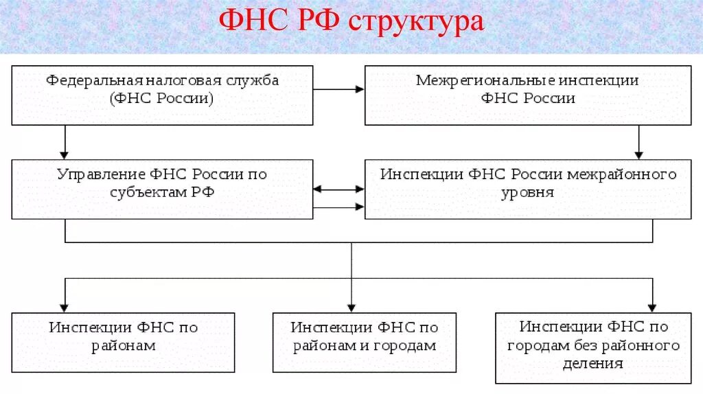 Федеральная налоговая службы осуществляет. Структура налоговой службы РФ схема. Структура налоговых органов РФ схема. Структура управления ИФНС России. Организационная структура ФНС России.