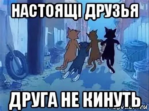 Почему друзья кидают. Настоящие друзья друга не бросят. Друзей не кинул. Друг не друг. Друзей не бросают.