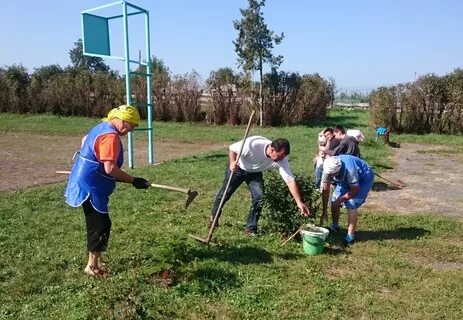 Погода в зеленчукской рп5