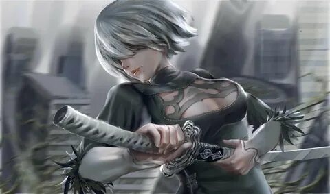 2a 2b ca