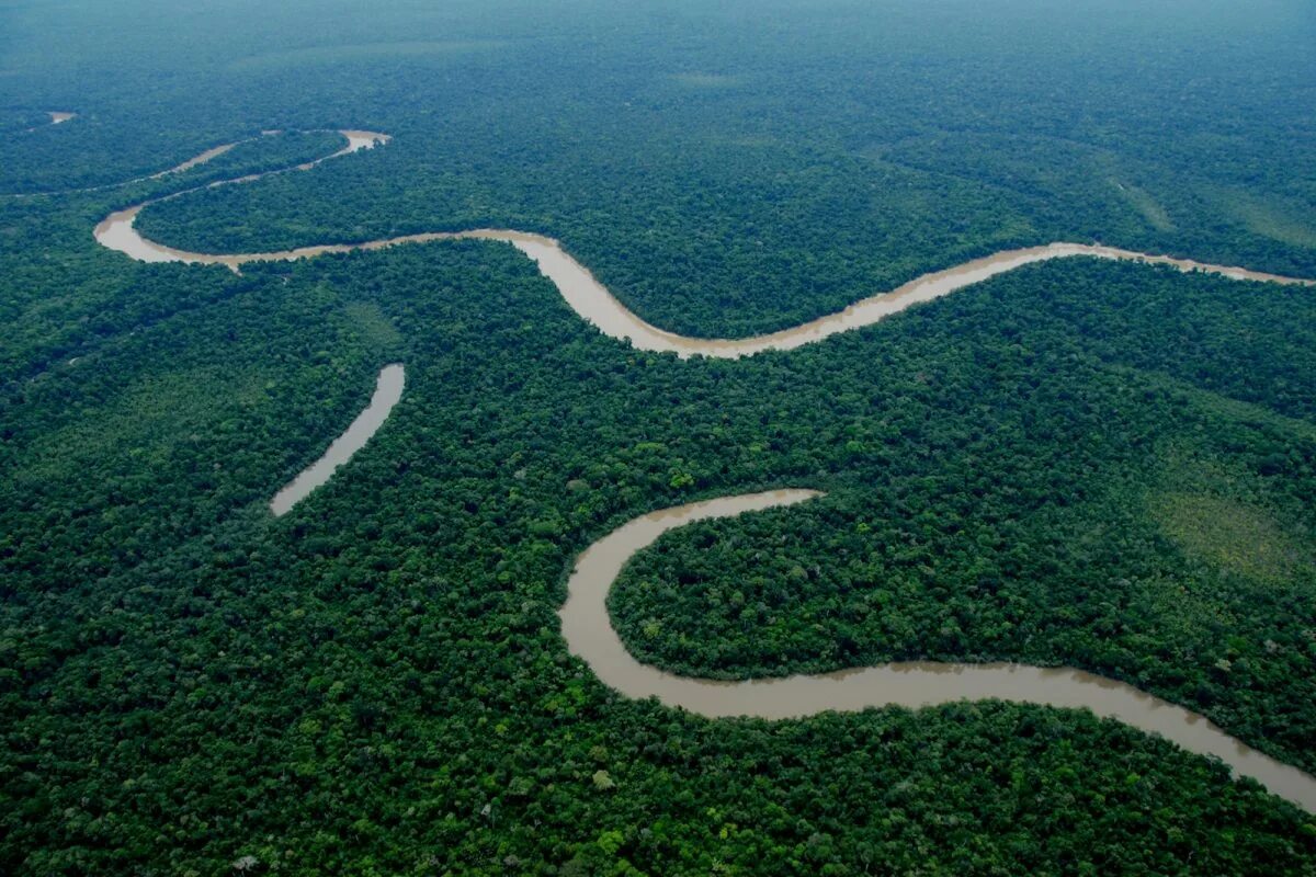 Укаяли. Река Амазонка сверху. Бразилия Амазонка.