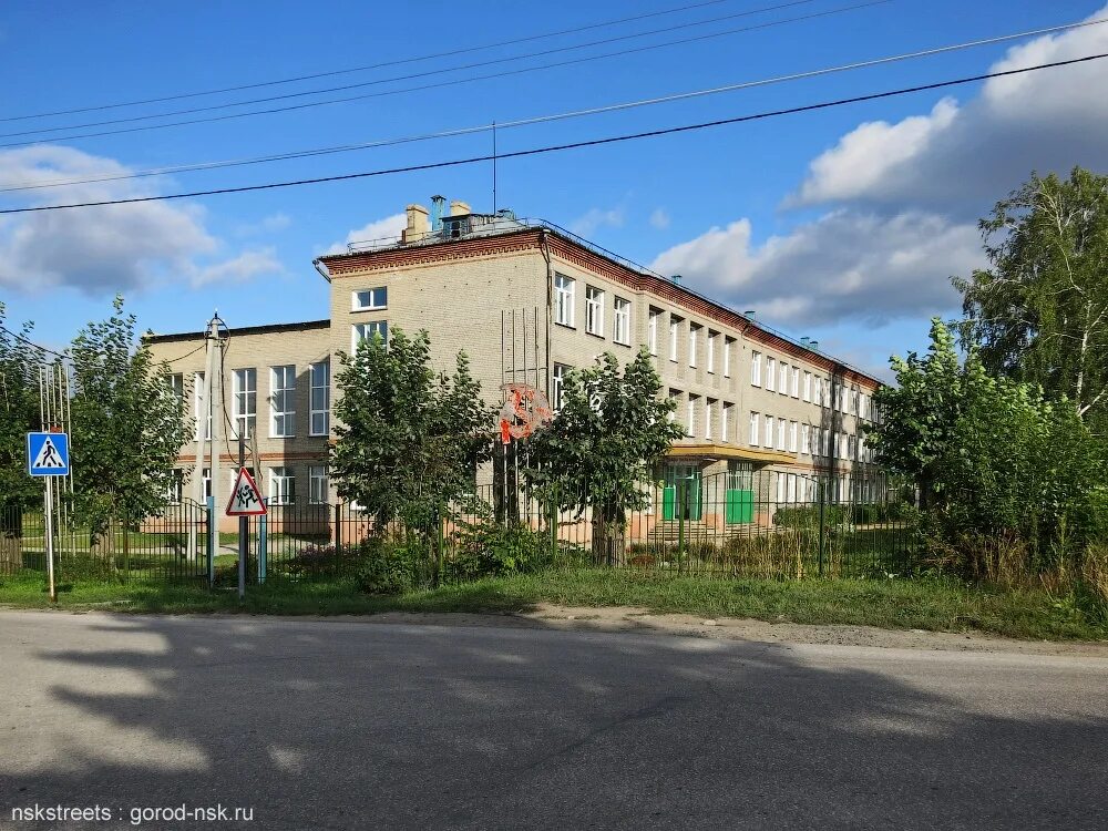 школа 30 воронеж семидесятые годы. советская школьная линейка. школы 70 г. школы 70 г. г.