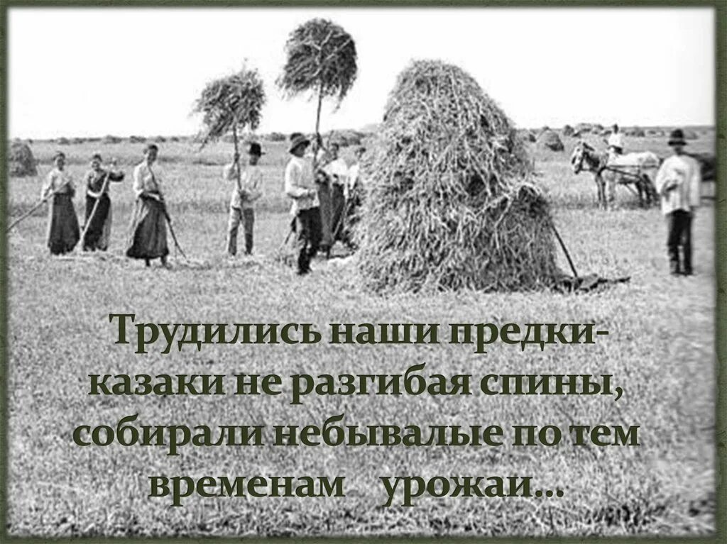 Твои земляки труженики кубановедение 3. Труженики земли Кубанской. Герои кубанских полей. Изображения презентации по кубановедению. Современные труженики Кубани.