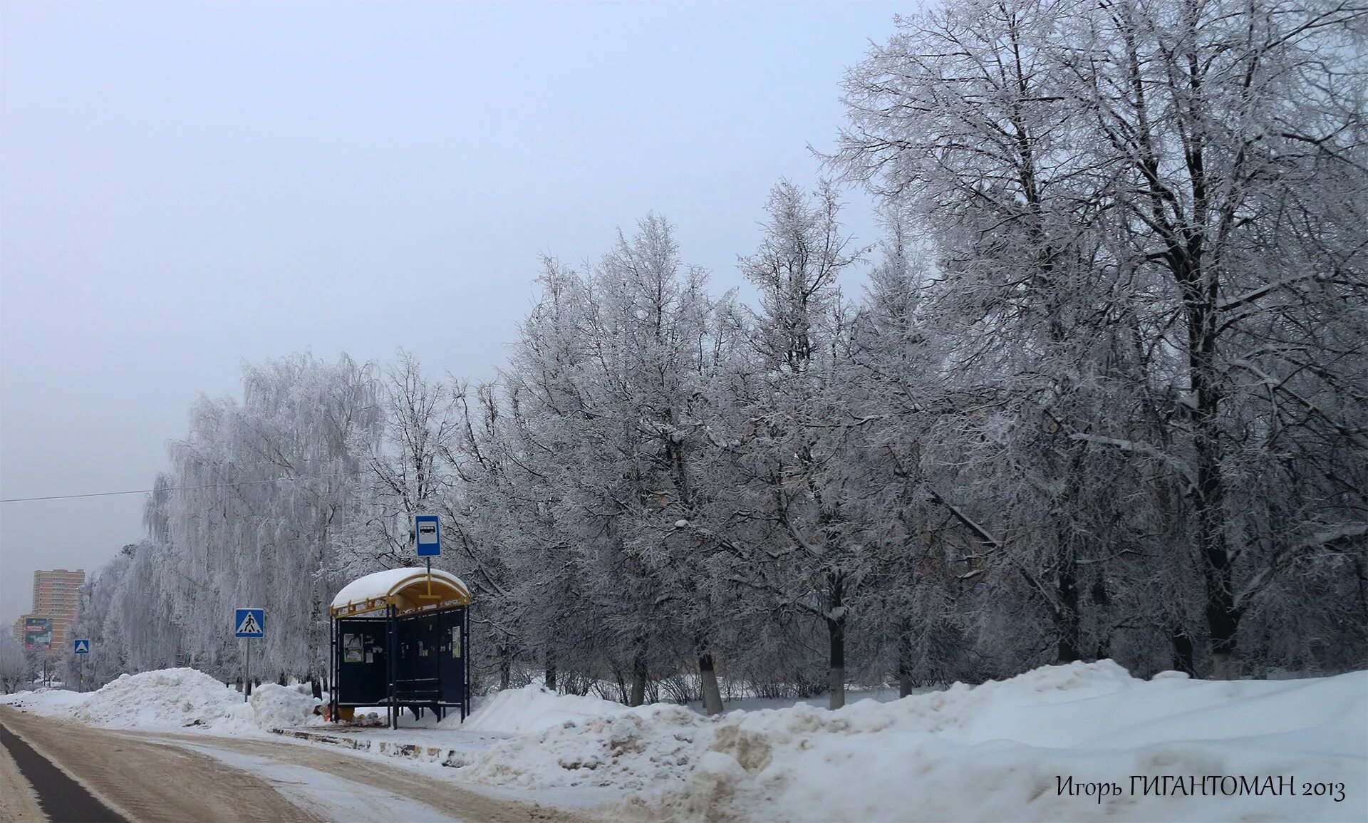 Совхоз раменский автобус. Совхоз раменский автобус. Пруд заболотье на карте. Совхоз раменский автобус. Остановка старый рынок.