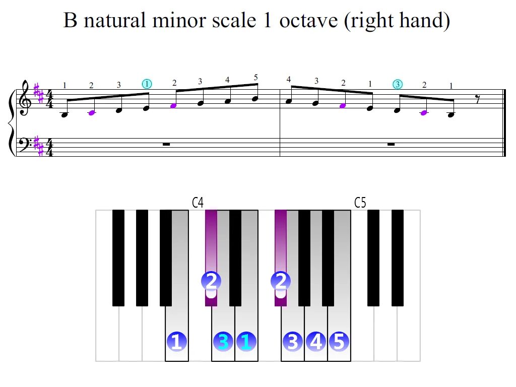 B flat major. B Flat Major Scale. Natural Minor Scale. D Harmonic Minor Scale. D Sharp Minor Scale.