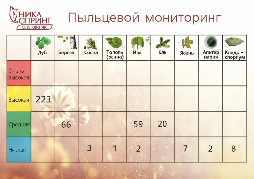 Пыльца новосибирск. Пыльцевой мониторинг. Пыление деревьев. Пыльцевой мониторинг в Москве. Пыление тополя.