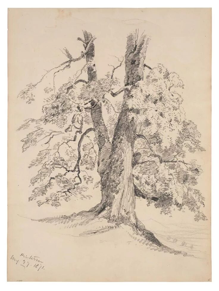 John tree