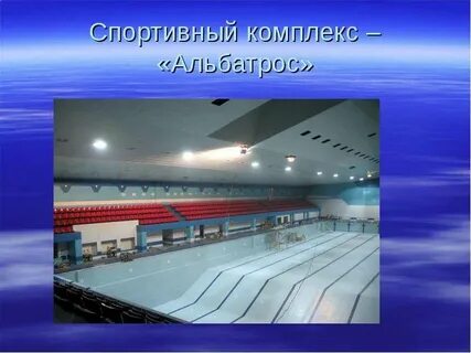 Альбатрос тольятти