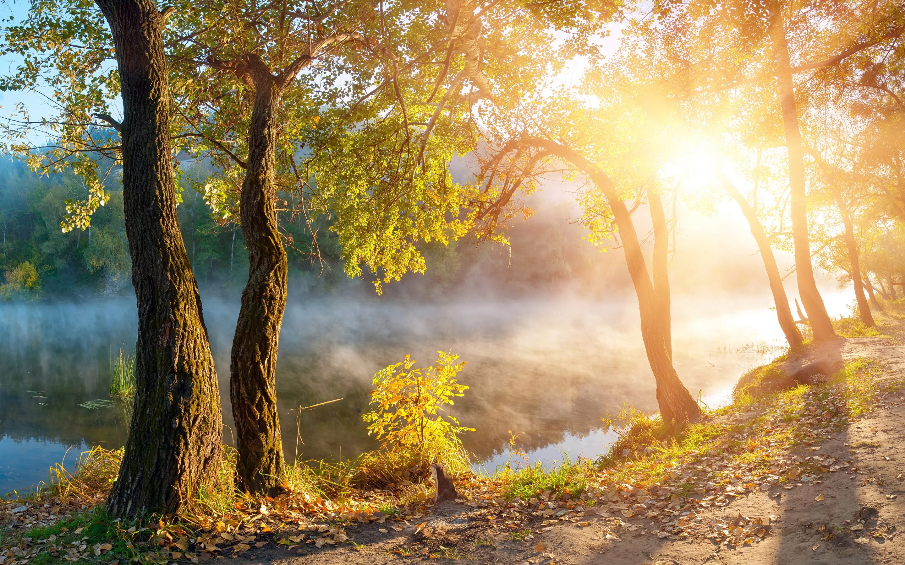 Бесплатные картинки утро. Природа солнце. Утро природа. Осенний рассвет. Солнечная осень.