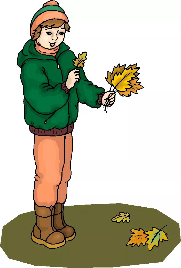 Pick up leaves. Collect leaves. Collecting leaves. Collect Flashcard.