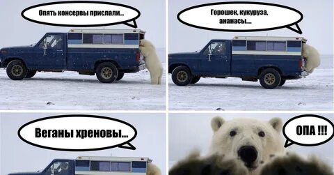 Хренов форум