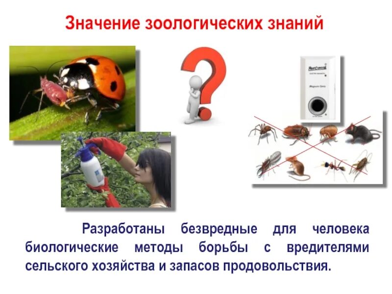 Значение биологии для человека и животных. Значение зоологических знаний. биологические способы борьбы с вредителями сельского хозяйства. значение зоологии для человека. значение зоологических знаний для человека.