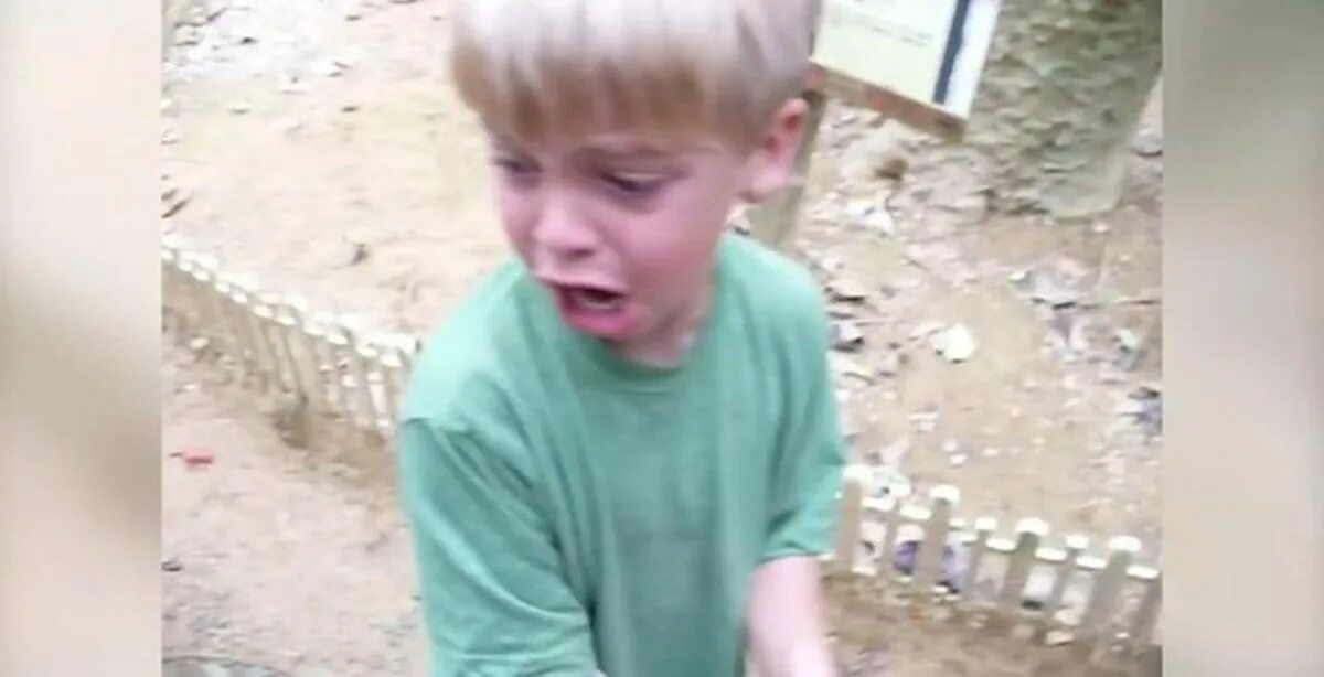 П мальчиков видео. Мальчик испугался в зоопарке. Короткие видео мальчиков. Маленький мальчик в зоопарке.
