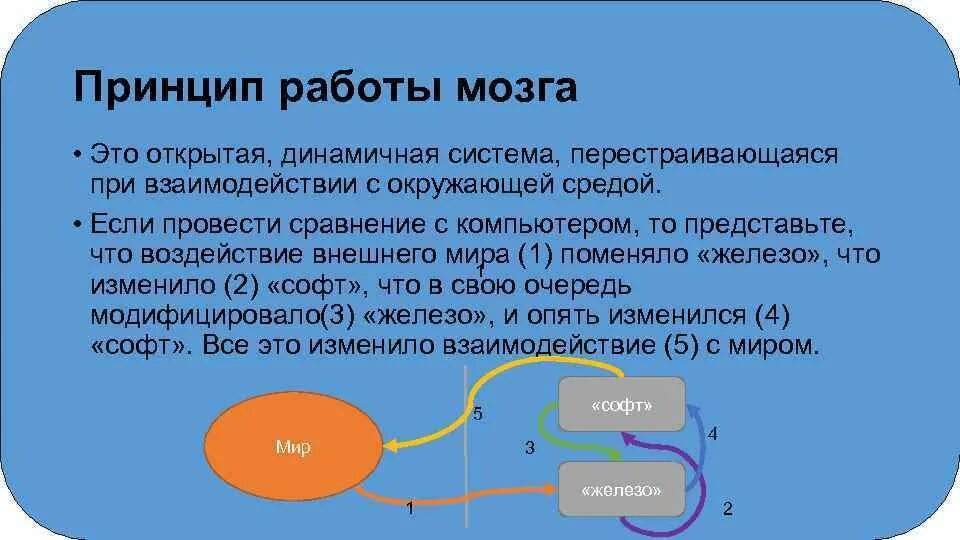 Принципы деятельности мозга