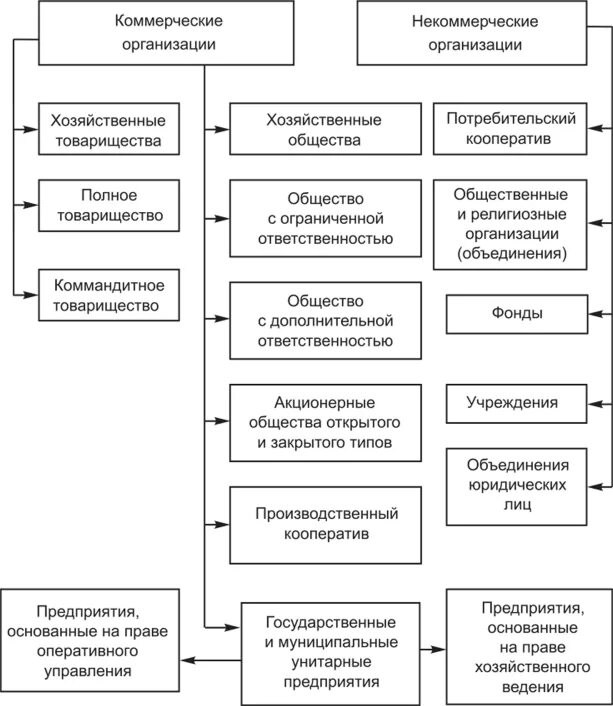 Организационно-правовые формы предприятий таблица. Организационно-правовые формы торговых предприятий. Схема структуру организационно правовых норм. Виды коммерческих организаций по специфике. Курсовая организационно правовые формы