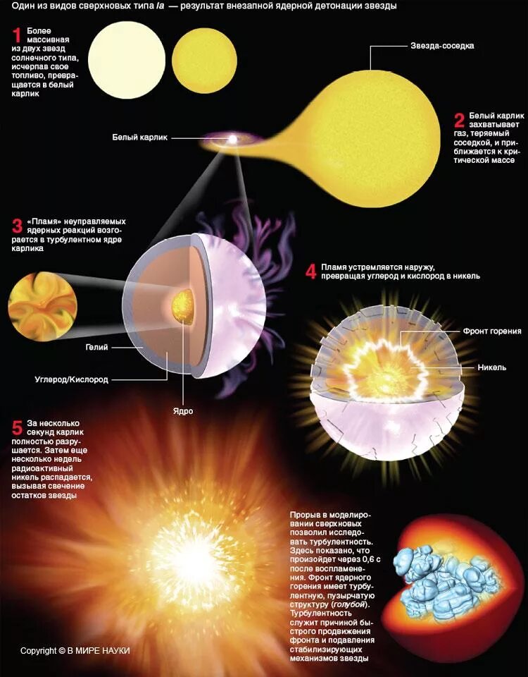 Книга новые звезды. Образование сверхновой звезды схема. Эволюция взрыв сверхновой звезды. Взрыв сверхновой звезды схема. Типы сверхновых звезд схема.
