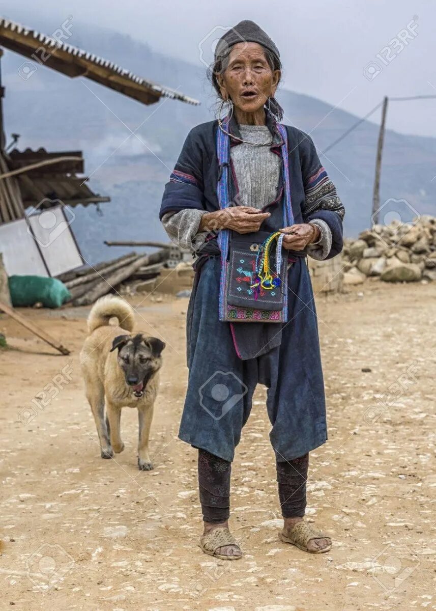 Порода хмонг. Хмонг собака. Вьетнамский хмонг щенки. Хмонг Хмонги собак.