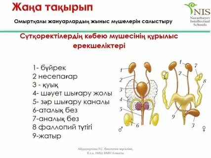 Тордағы жалаңаш әйелдер