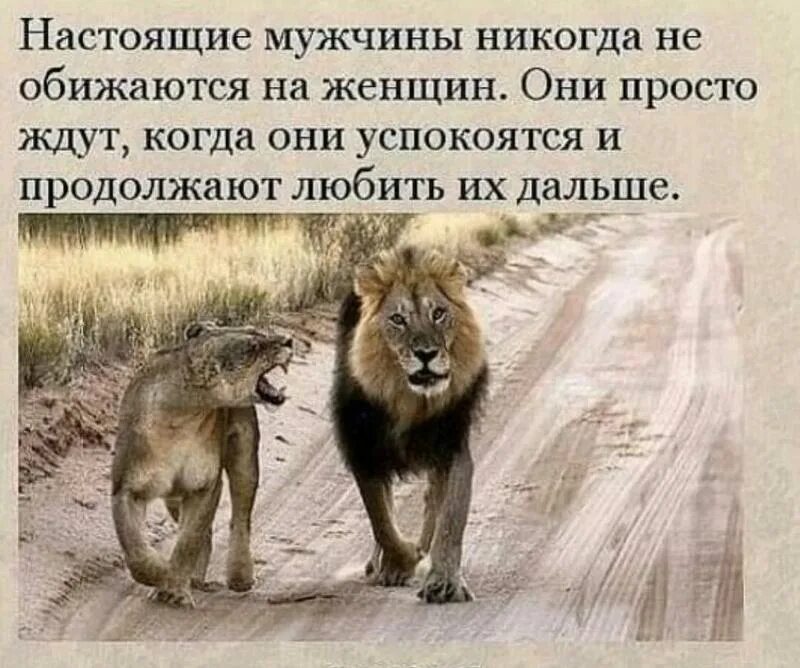 Успокоил обидишь. Настоящие мужчины никогда не обижаются на женщин они просто. Настоящие мужчины не обижаются на женщин. Настоящие мужчины не обижаются на женщин они просто ждут. Настоящие мужчины никогда не обижаются.