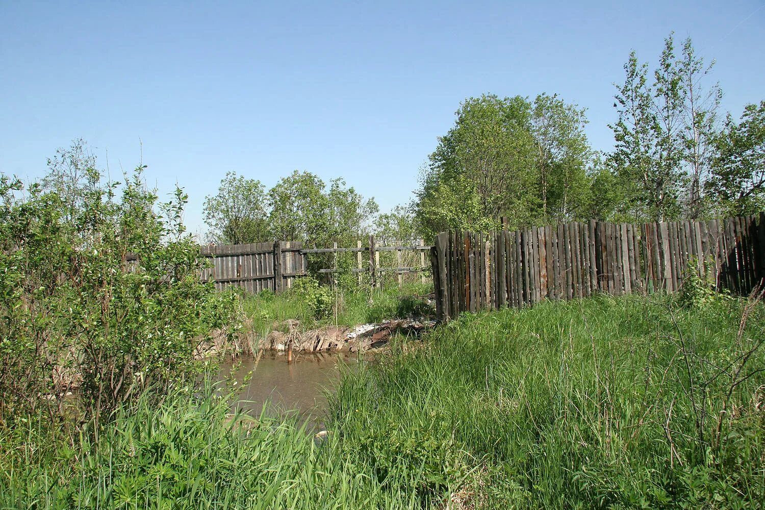 Заброшенный дачный участок. Заброшенный дачный участок. Безлюдный участок земли. Заброшенный участок с домом. Заброшенная дача.