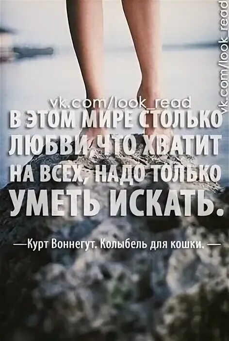 Книга умеющая искать. Книга умеющая искать