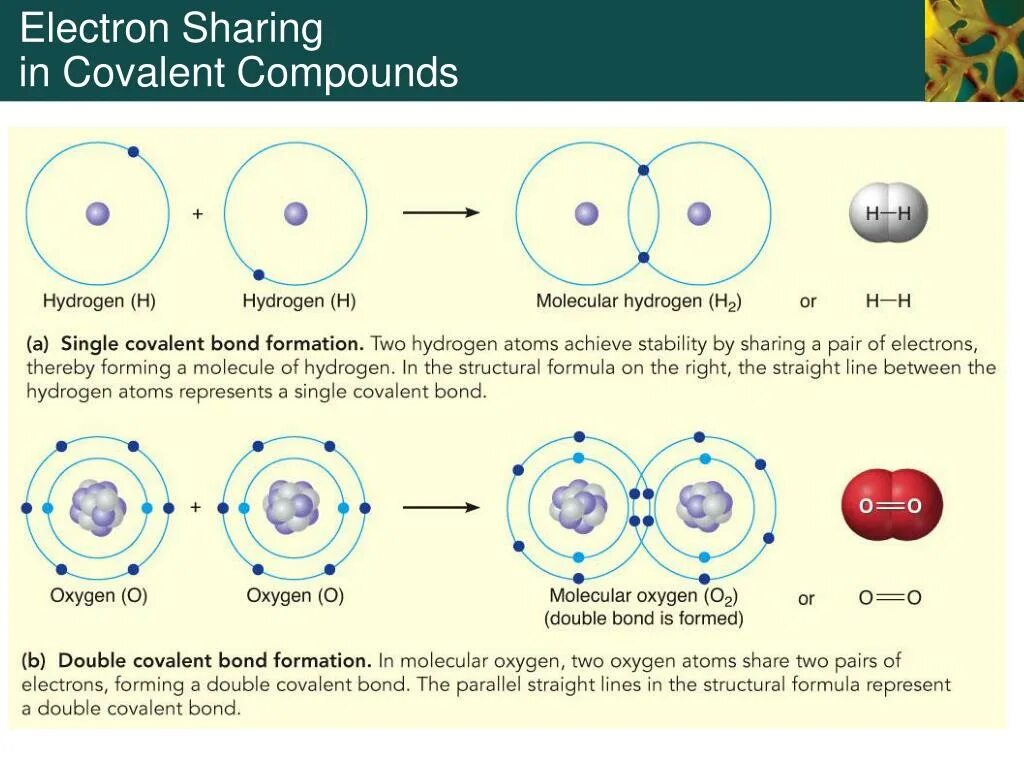 Атом 4 2 he. Covalent Bond Electron density. Electron Bond formation. Атом 2he4. Chemical basis of Life.