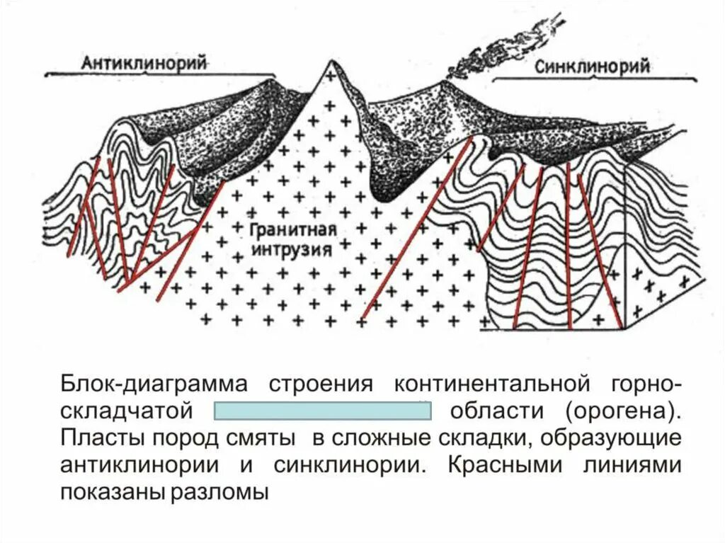 Антиклинорий и синклинорий. Структурные элементы геосинклиналей. Горст антиклинорий. ЭПИГЕОСИНКЛИНАЛЬНЫЙ ороген. Осадочный чехол древних платформ