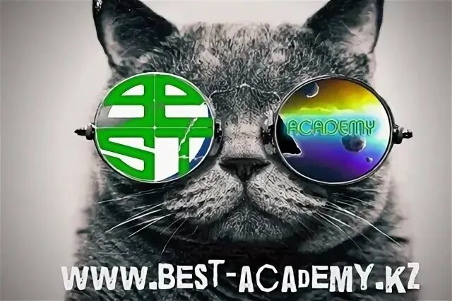 Best academy