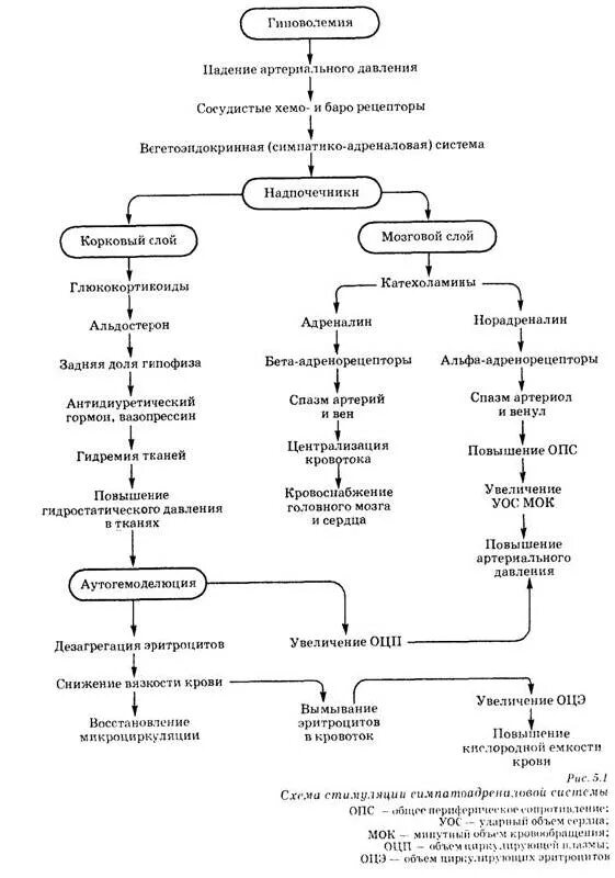 Как восстановить кровь после