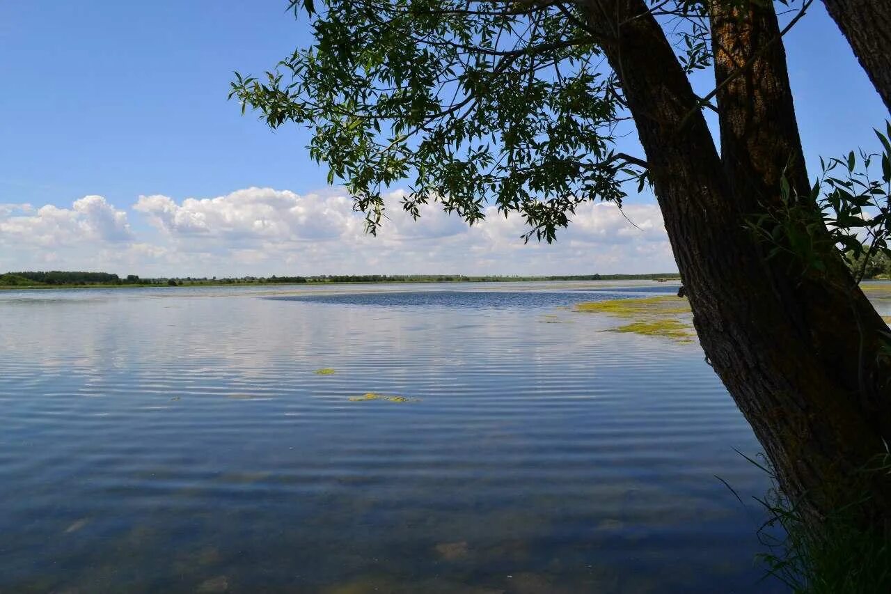 Села на озере