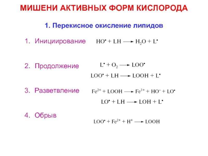 Активная форма простейшего