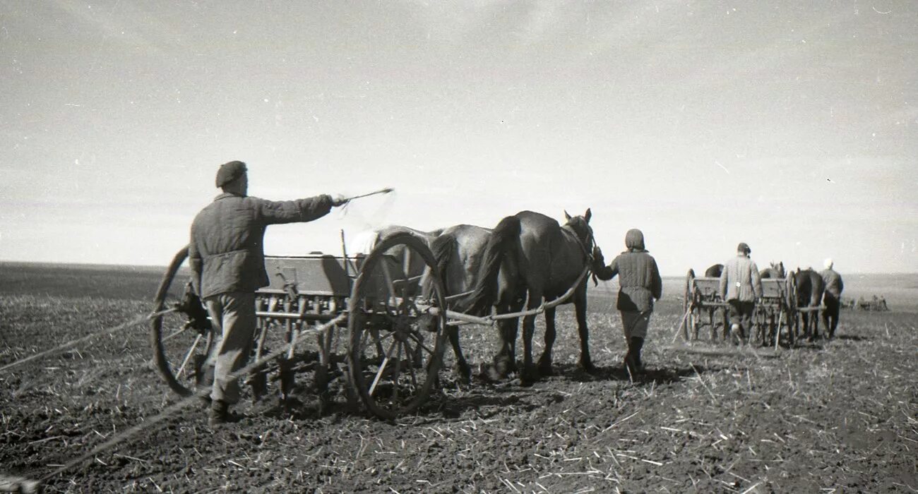 1946 пятилетка. Совхоз путь ленина. колхоз путь ленина тамбовская область село сосновка. председатели колхозов в годы войны 1941-1945 войны. голодомор в украине 1946-1947.