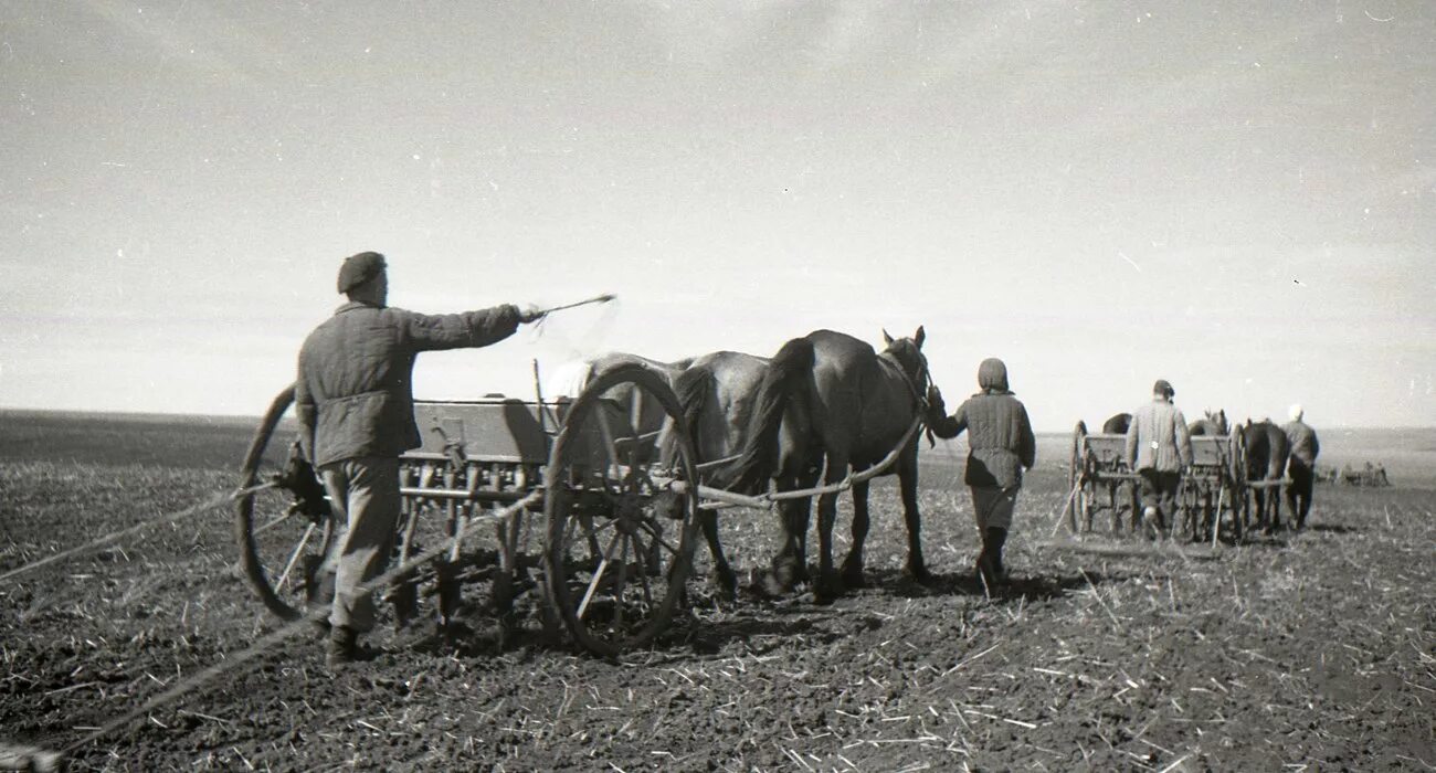 Почему 1946 год стал последним голодным годом. Колхоз путь Ленина Тамбовская область село Сосновка. Председатели колхозов в годы войны 1941-1945 войны. Сельское хозяйство СССР после войны. Голодомор в Украине 1946-1947.