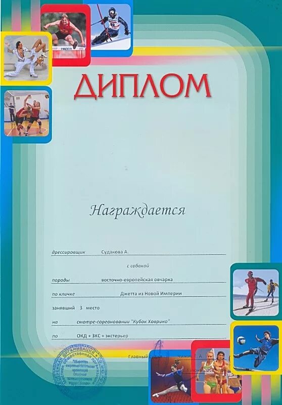 Сертификат зож. Грамота на соревнования пустая. грамоты по зож образцы. диплом участника спортивных. бланки дипломов для соревнований.