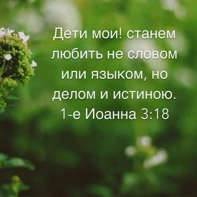 Притчи 21:21. Нарисовать обиду 4 класс по орксэ. Правда и милость. Соблюдающий правду и милость найдет жизнь правду и славу. Соблюдающий правду и милость найдет жизнь правду и славу.