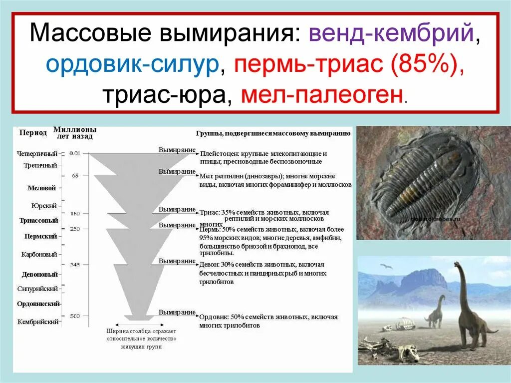 Назовите данные вымершие организмы. Массовые вымирания в истории земли. Ордовикский период вымирание. Кембрий Ордовик Силлур. Ордовикско-силурийское вымирание причины.