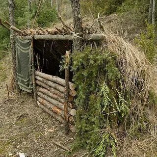 Убежище история выживания