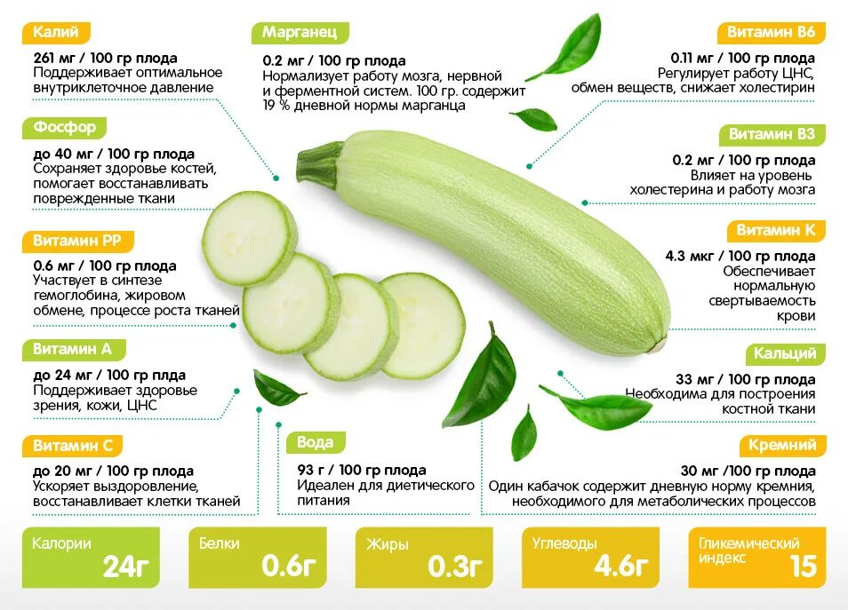Сколько кабачков сняли. Витамины в кабачках свежих. Кабачок состав. Нормы кабачка для первого. Как вводить кабачок в прикорм.