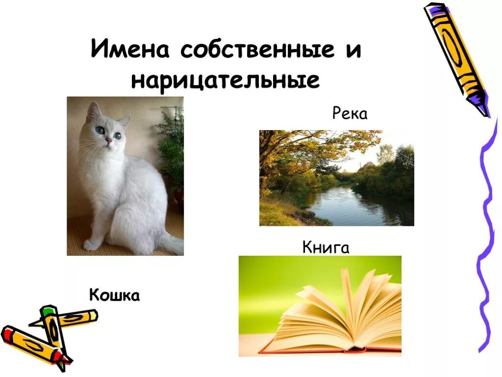 История имен собственных. Имена собственные кошка. нарицательное кошка. история имён собственных. солнце имя собственное.