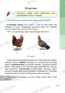 Дөрекі анальный секс порно онлайн