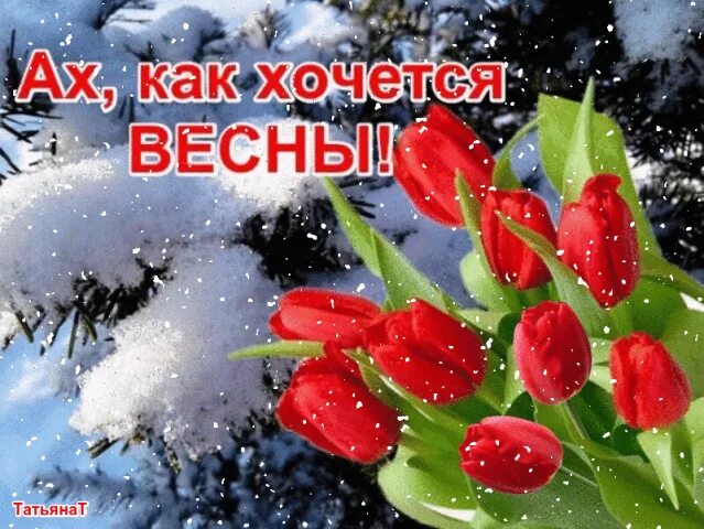 Цветы в марте. Первоцветы (подснежники, крокусы, гиацинты). Доброе утро. Предчувствие весны. Так до весны весной.