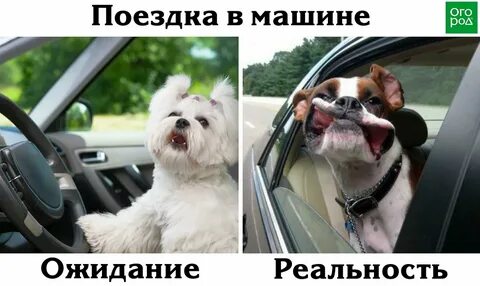Перенести поездку